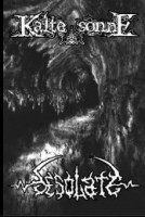 Split Desolate/Kalte Sonne